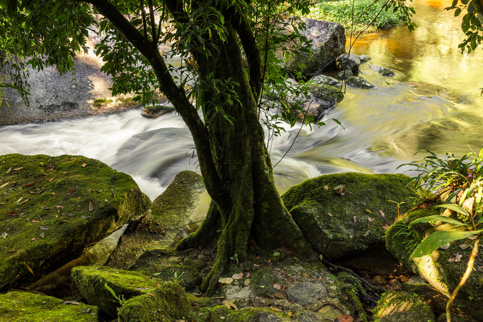 008 – © Bruno Pinheiro – BPR_7012